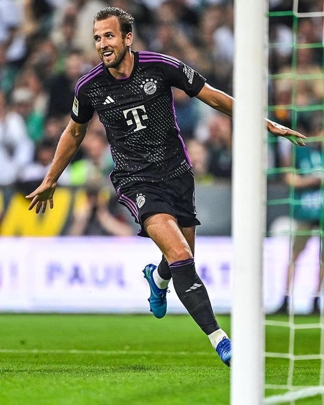 林高远的 林高远的